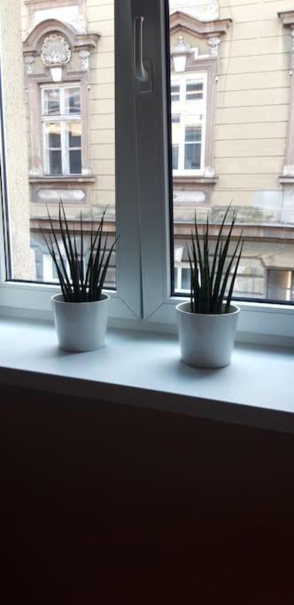 Zachod Slonca Nad Wisla Apartman Krakkó Kültér fotó